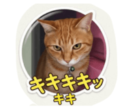 855647145