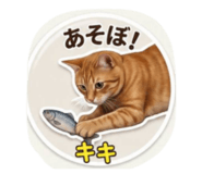 855647150