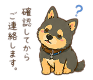 855647530