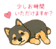855647533