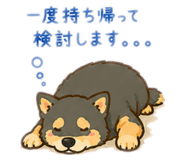 855647535