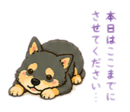 855647538