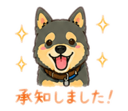 855647541