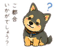 855647542