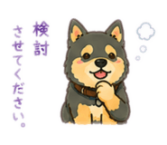 855647545