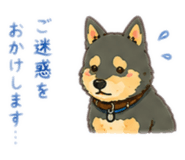 855647546