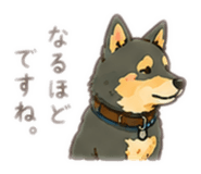 855647547