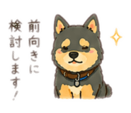 855647549