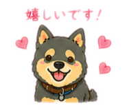 855647554