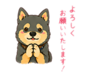 855647555
