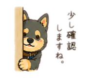 855647556