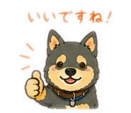 855647560