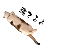 855648122