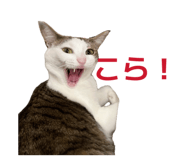 855648125