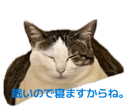 855648127