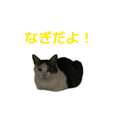 855648129