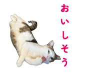855648130