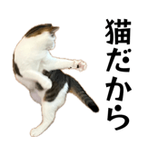 855648131