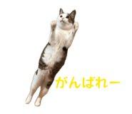 855648132