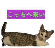 855648134