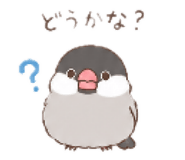 855648353