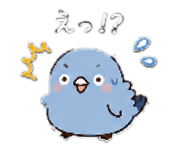 855648354