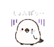 855648360