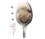 855648468