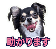 855648939