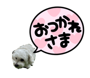 855649379