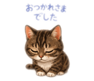 855649454