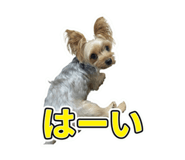 855649876