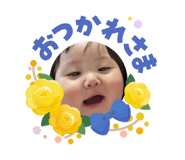 855650153