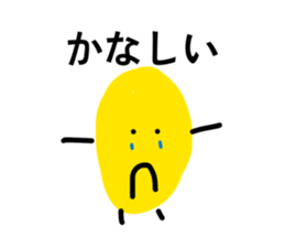 855650162