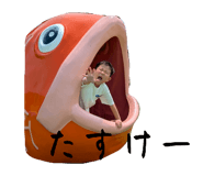 855650236