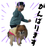 855650245