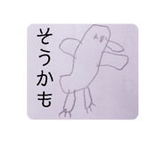 855650246