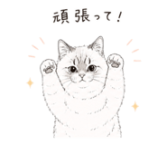 855650333