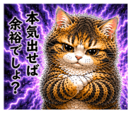 855650588