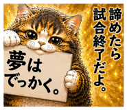 855650594
