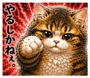 855650596