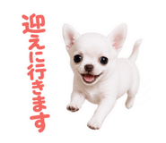 855650637