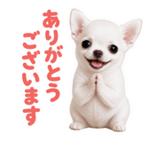 855650647