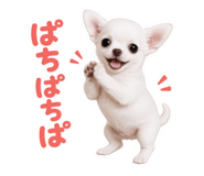 855650653