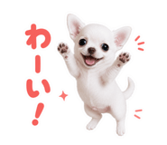 855650654