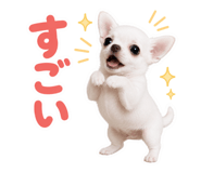855650662