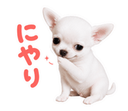 855650663