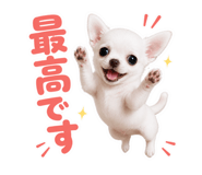 855650668