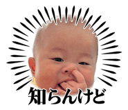 855651041