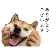 855651139